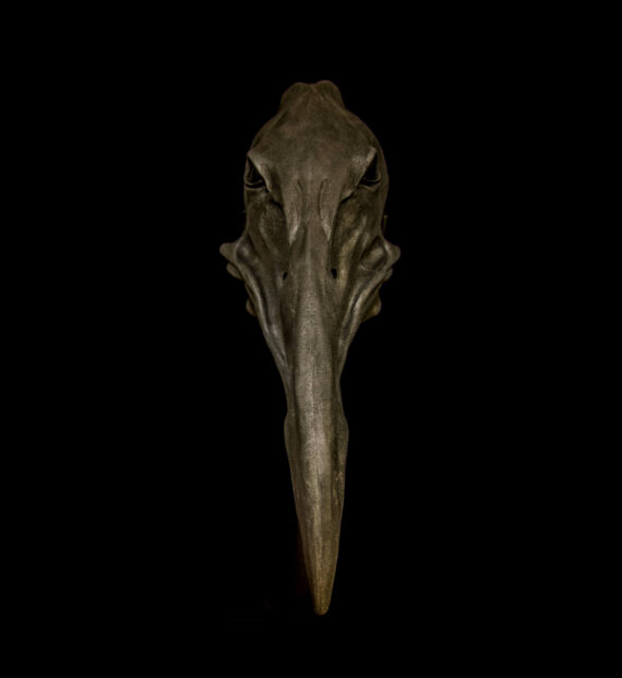 Valravn Plague Doctor Mask Black - Image 4