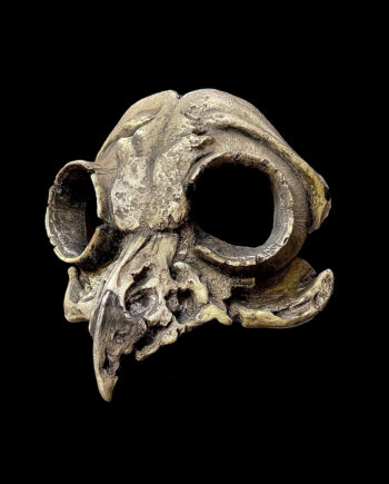Owl Skull Mask Small