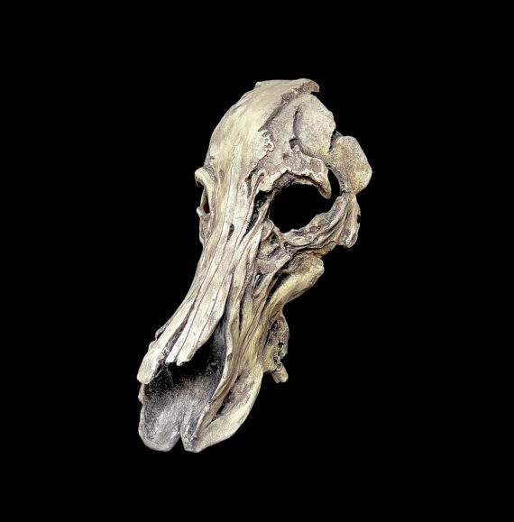Boar Skull Mask - Image 4