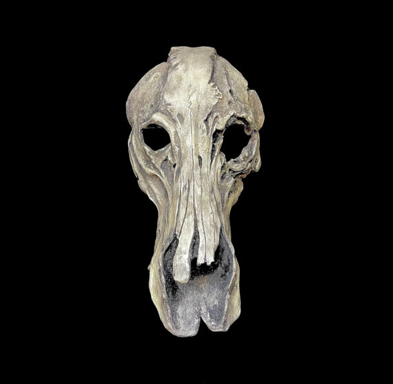 Boar Skull Mask - Image 5