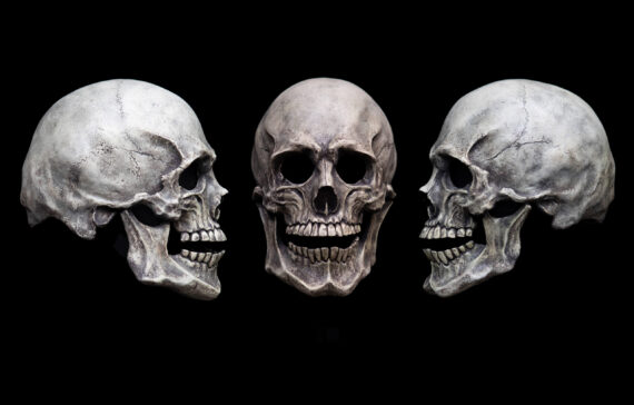 Human Skull mask - Image 9