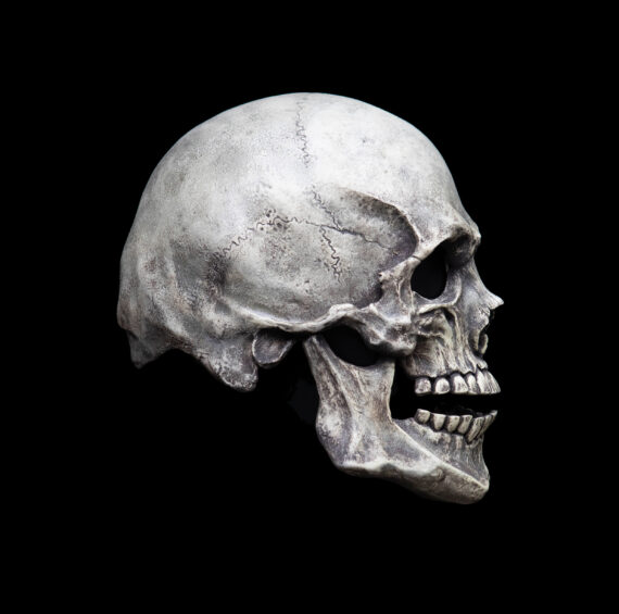 Human Skull mask - Image 5