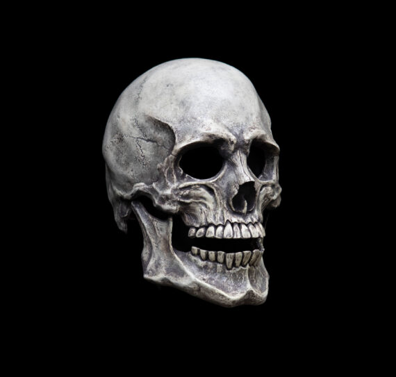 Human Skull mask - Image 4