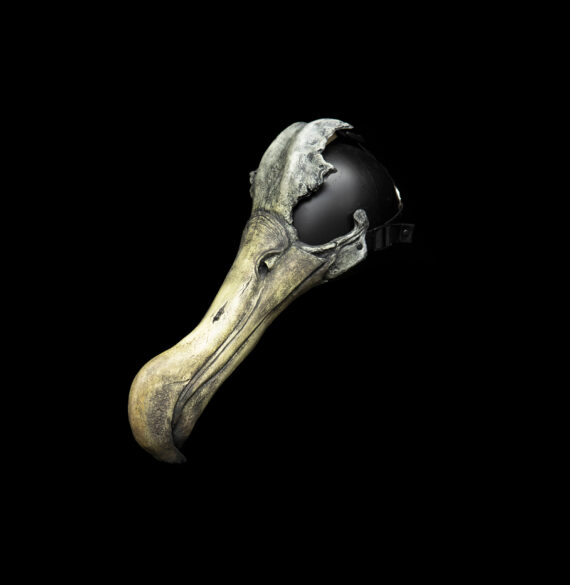 Albatross Mask - Image 3