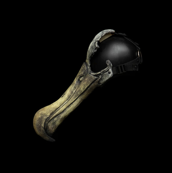 Albatross Mask - Image 7