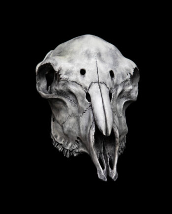 Sheep Skull Mask