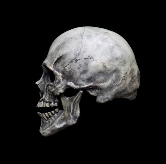 Human Skull mask - Image 6