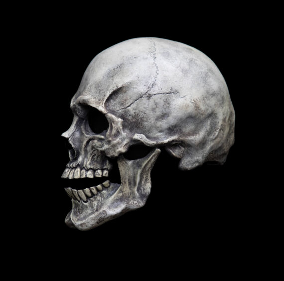 Human Skull mask - Image 8
