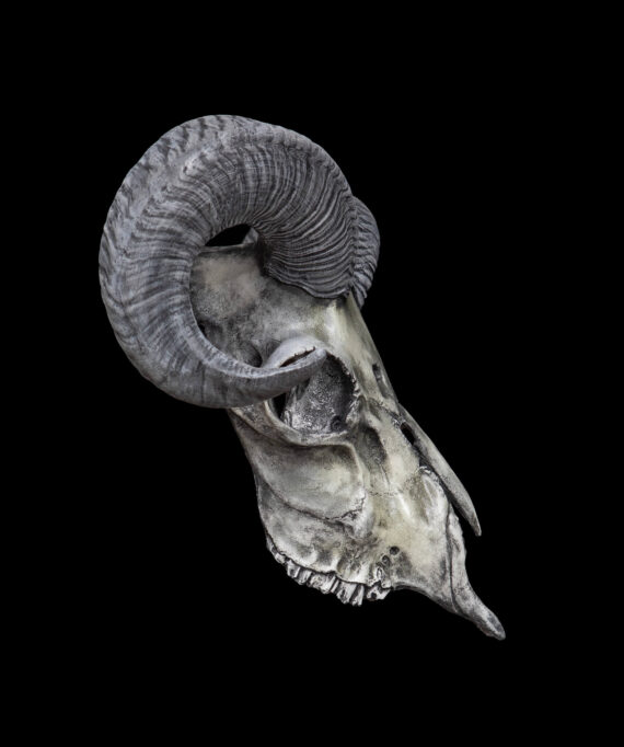 Ram Skull Mask - Image 7