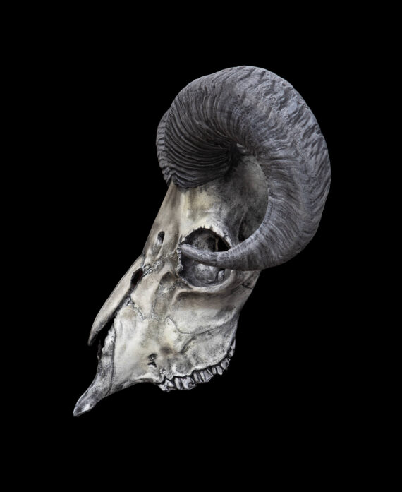 Ram Skull Mask - Image 4