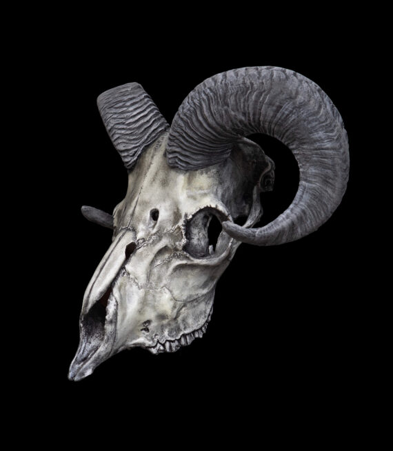 Ram Skull Mask - Image 5