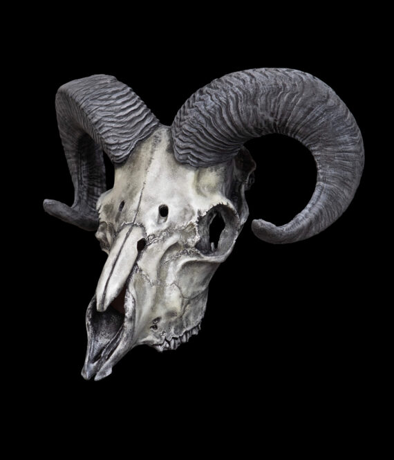 Ram Skull Mask - Image 8
