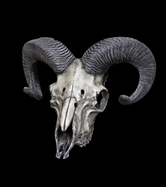 Ram Skull Mask - Image 9