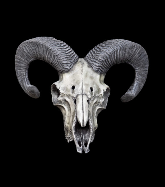 Ram Skull Mask - Image 6